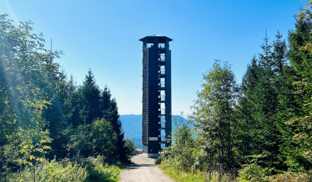 Buchkopfturm 