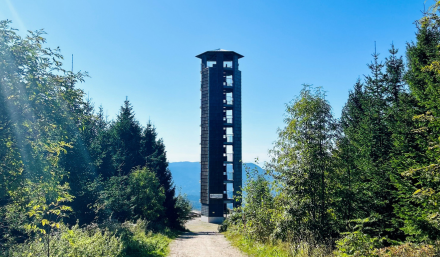 Sicht auf den Buchkopfturm in Oppenau