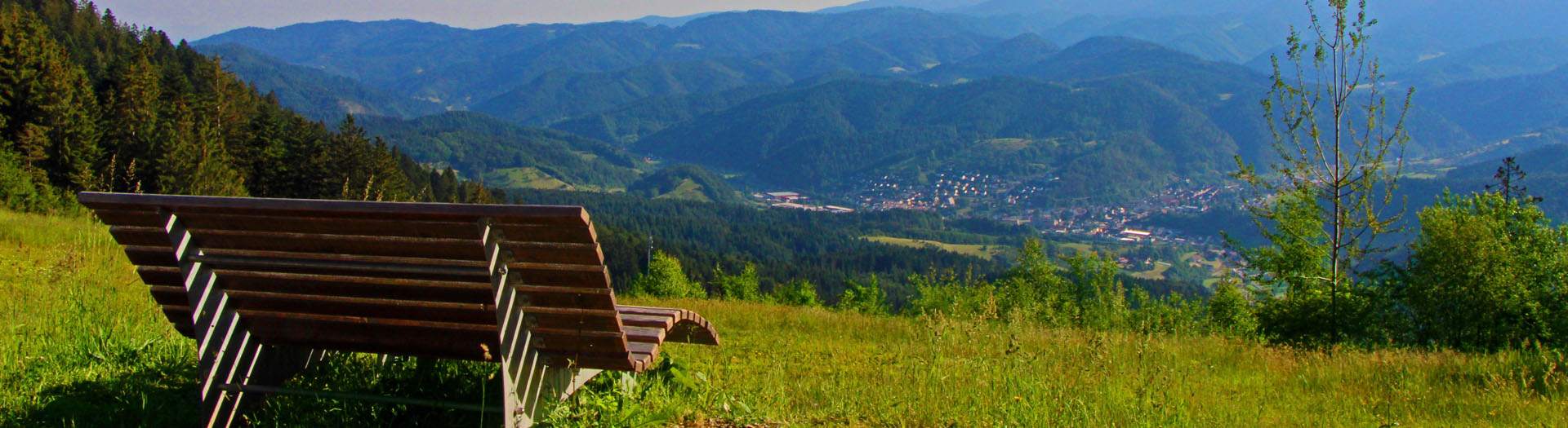 Blick vom Ibacher Holzplatz Links vorne steht eine Sitzbank auf einer Wiese, im Hintergrund sind die Schwarzwaldberge und Oppenau zu sehen